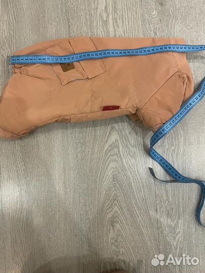 Одежда для собак