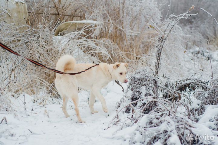 Белуччи хочет найти мам пап