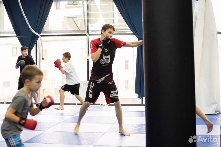 Секция, занятия по Мма для детей