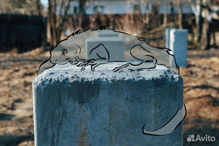 Забивка жб свай