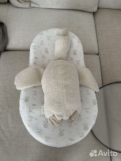 Кокон зевушка