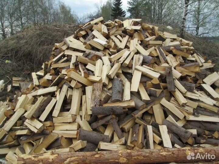 Колотые дрова осина