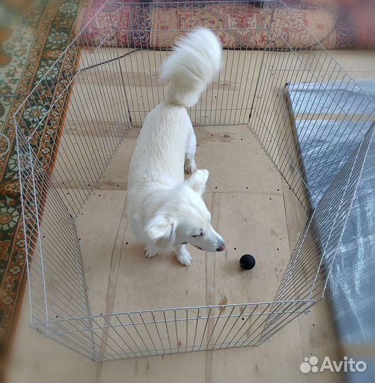 Вольер для собак в квартиру