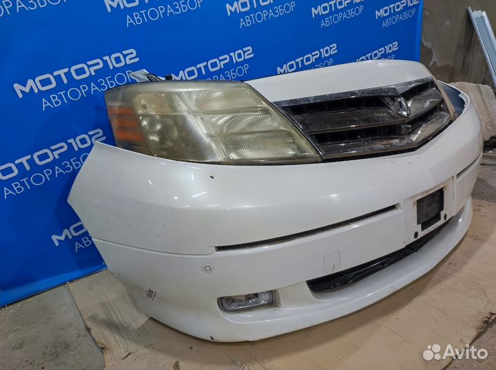 Ноускат Toyota Alphard 1