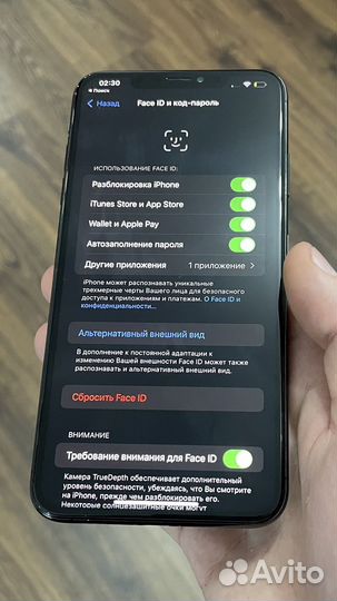 iPhone Xs Max, 256 ГБ