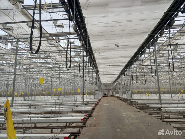 Теплицы Антрацит и Венло строим под ключ