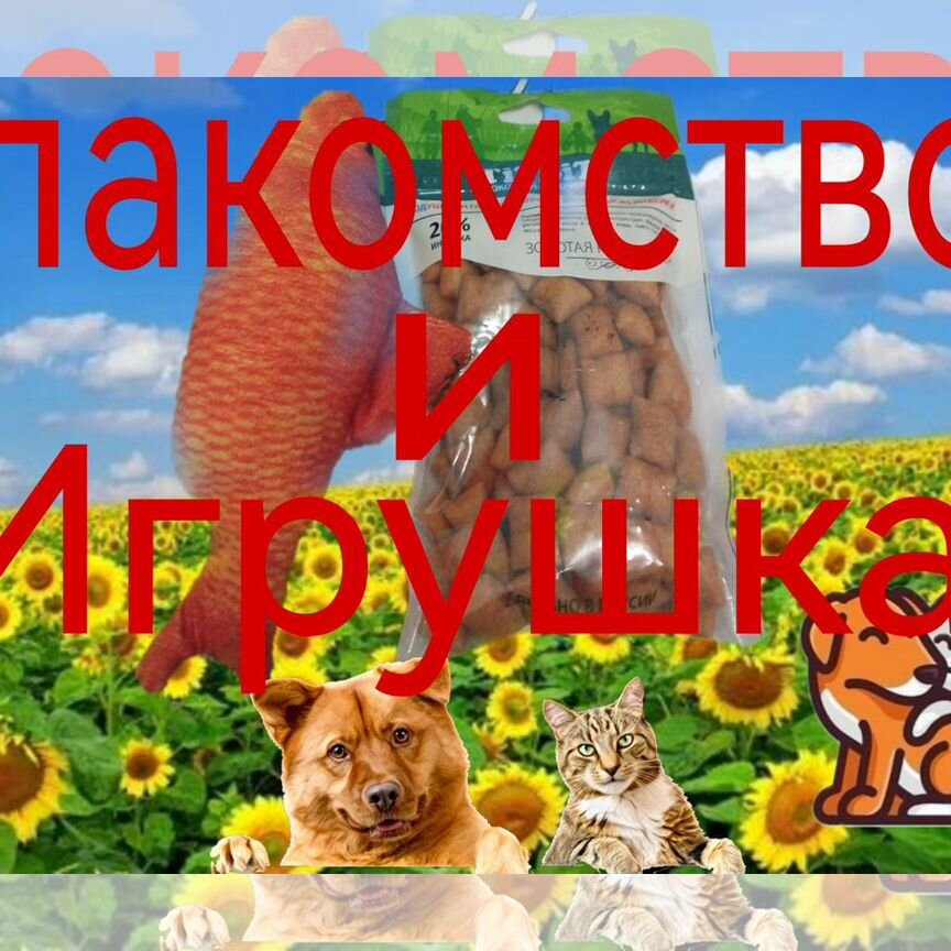 Лакомства для собак и игрушка для кошек