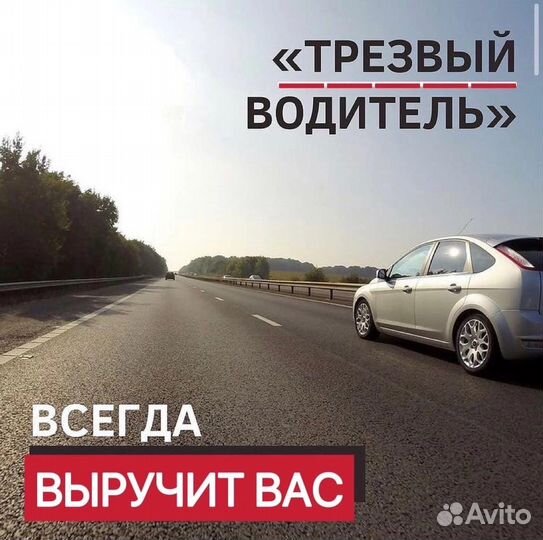 Трезвый водитель
