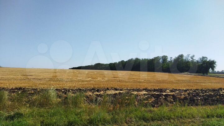 Дом 51,9 м² на участке 50 сот.