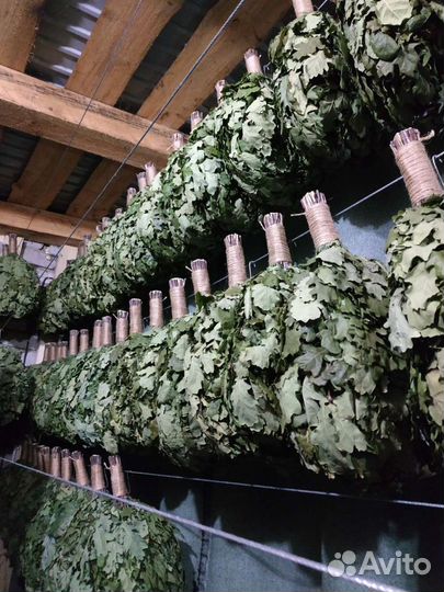 Веник дубовый