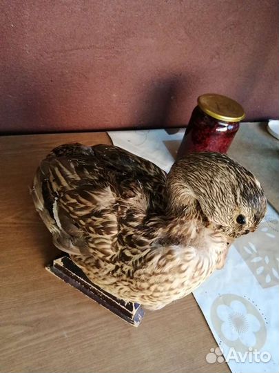 Чучело утки. СССР