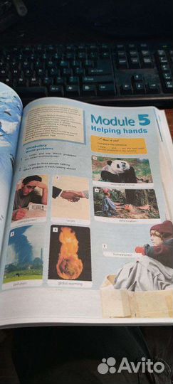 Лот для заказа