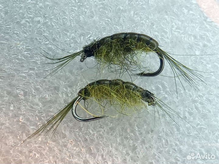 Сибирская мушка ручейник тёмнозелёный