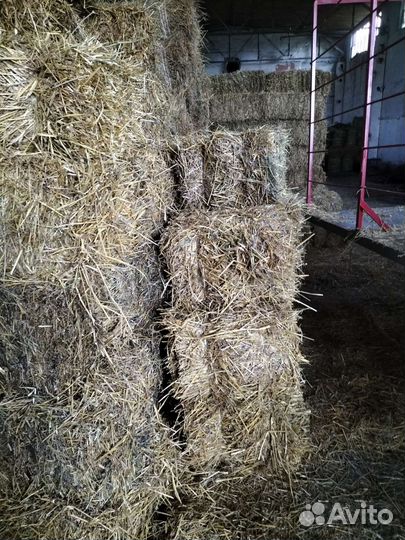 Солома пшеничная в тюках