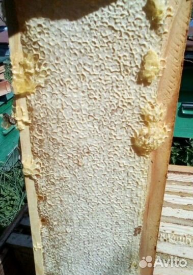 Луговое разнотравье мёд - с доставкой