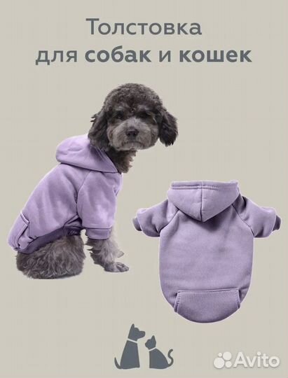 Одежда для собак