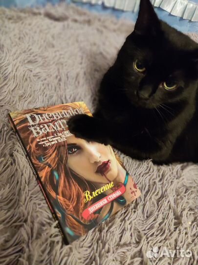 Книга Дневники Вампира Дневники Стефана 