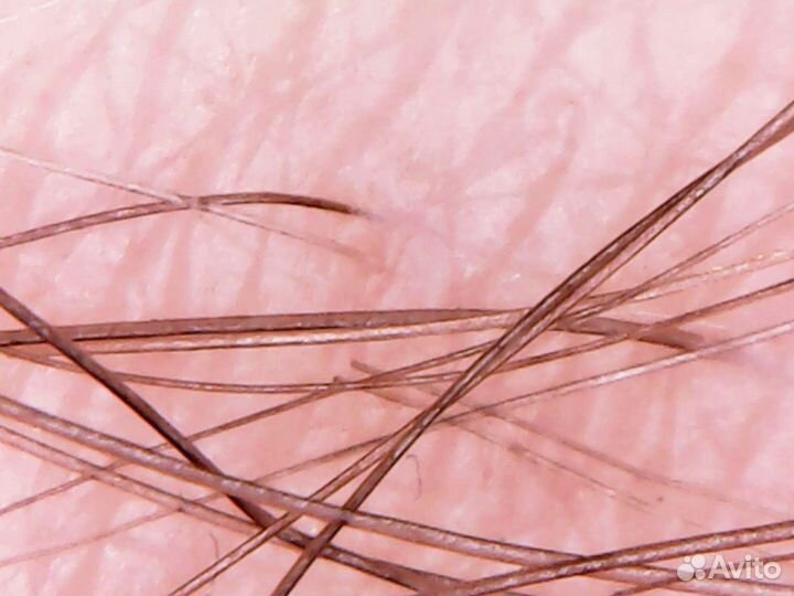 Микроскоп с функцией записи (новый)