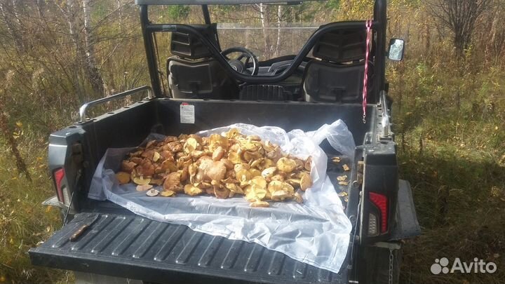 Квадроцикл CF Moto U-800, U8, Мотовездеход, Багги