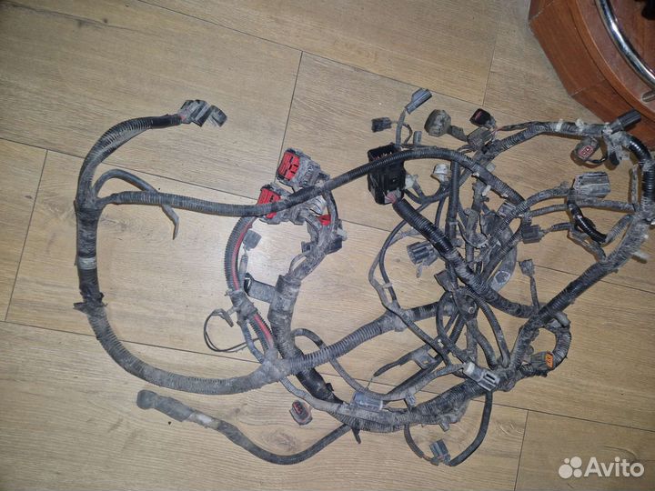 Моторная коса форд escape 2005 год