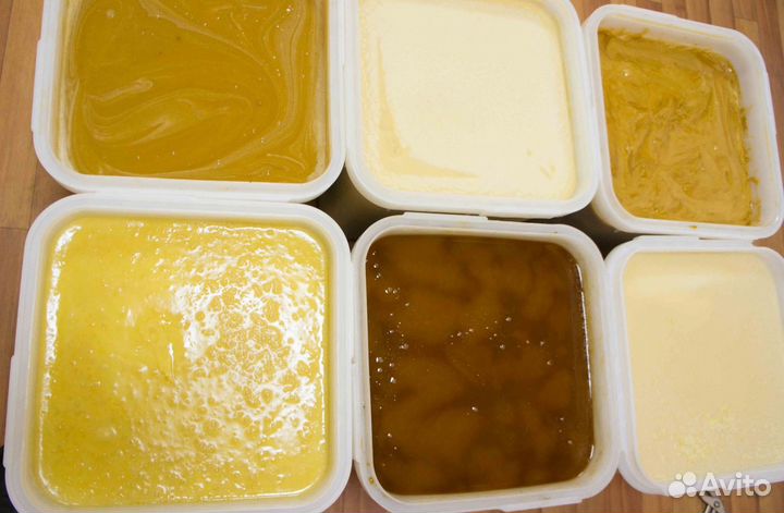 Мёд натуральный из Алтая опт