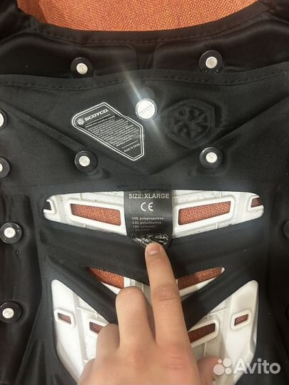 Черепаха Scoico