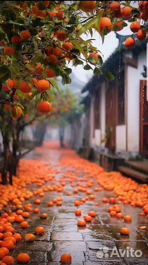 Строительство