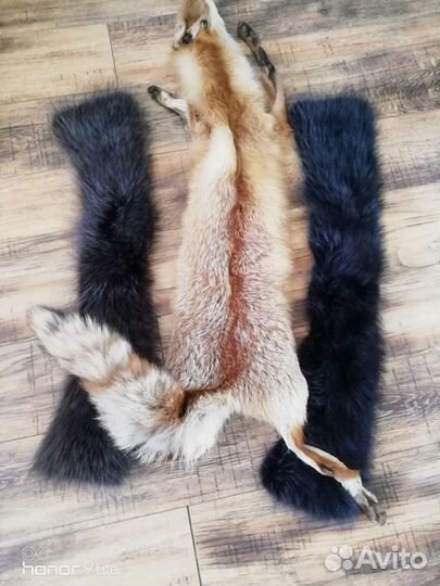 Шкурка животного