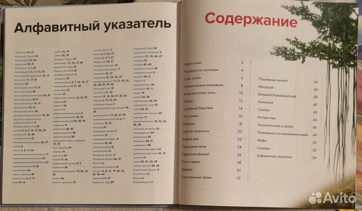 Энциклопедия для детей