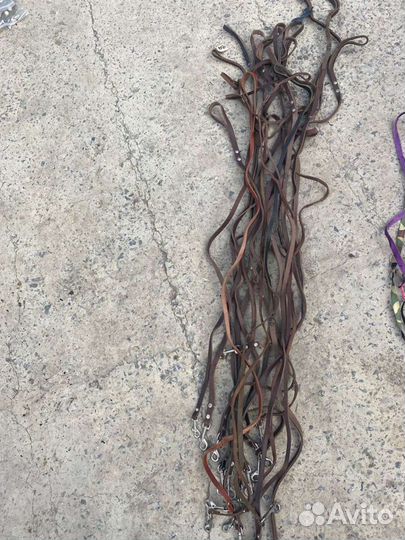 Ошейники, поводки, намордники, шлейки, цепи