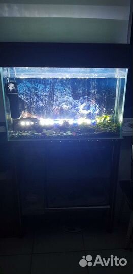 Аквариум
