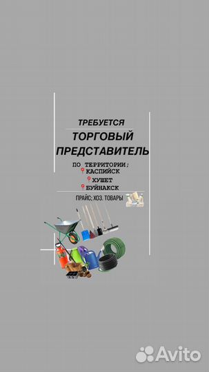 Торговый представитель на авто