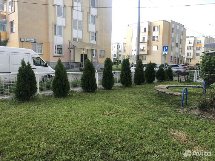 Туи в наличии 1.50