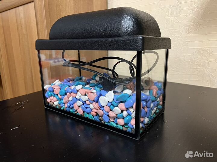 Аквариум