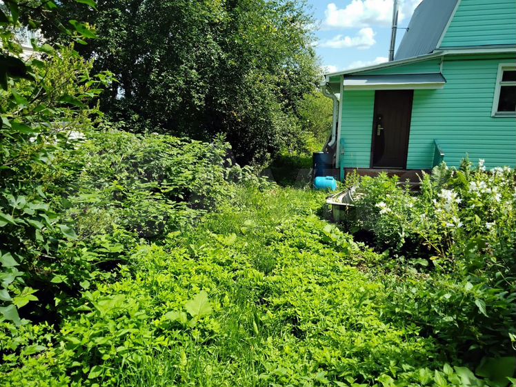 Снять дом, дачу, коттедж или таунхаус 🏡 в Сычево | Недвижимость в Сычево |  Авито