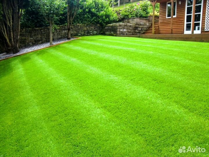 Рулонный газон с укладкой