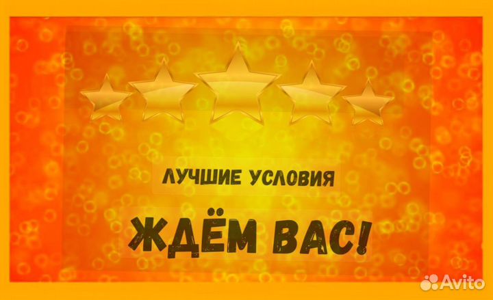 Сортировщик Еженедельный аванс Спецодежда М/Ж