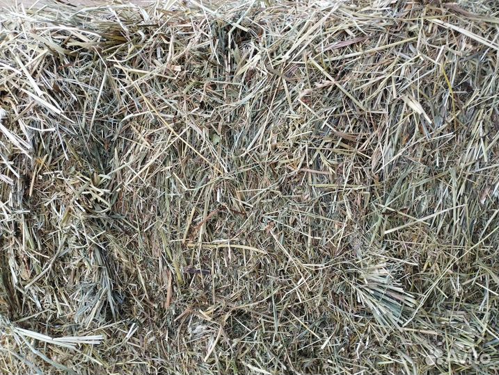 Сено в тюках