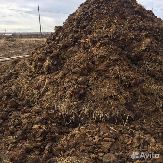 Навоз перегной коровий