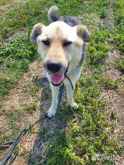 Парень в приюте