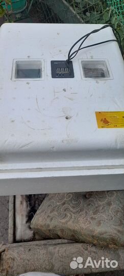 Продам инкубатор 