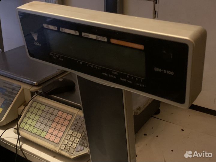 Весы с печатью этикеток digi sm-5100