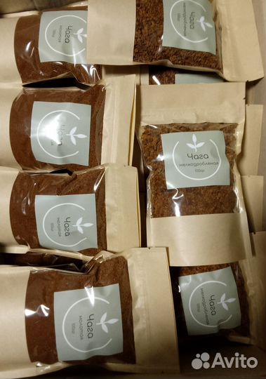 Чага для иммунитета от сборщика