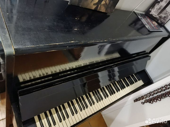 Отдам бесплатно самовывоз(Лирика и Казань)