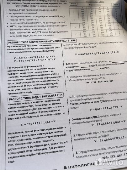 Конспекты ЕГЭ (биология, химия, русский)