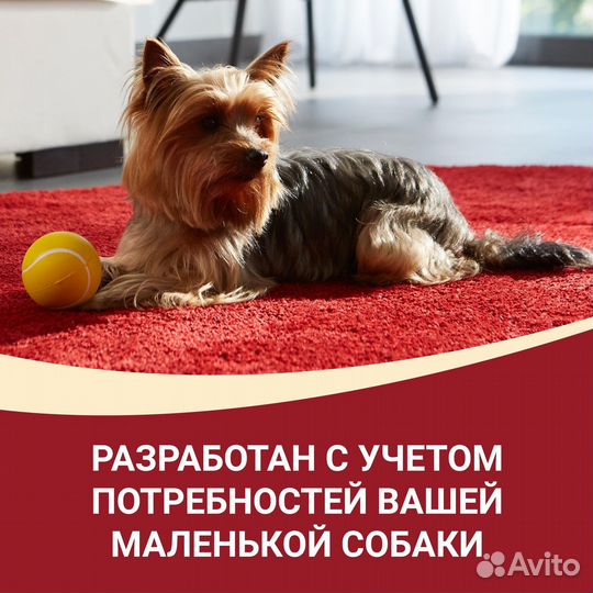 Purina ONE для активных взрослых собак мелких и ка