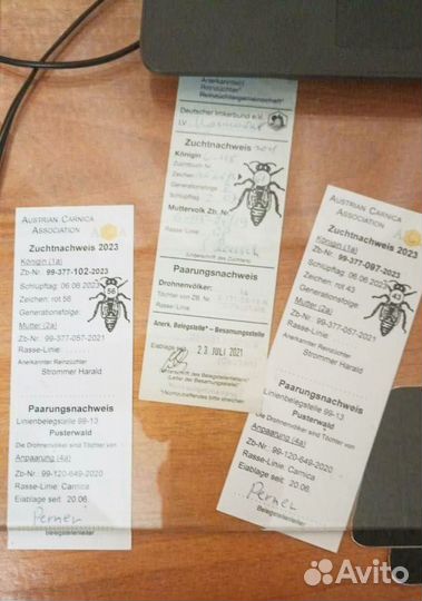 Пчелопакеты Карника и Бакфаст