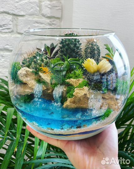 Флорариум на день рождения,День матери, Новый год