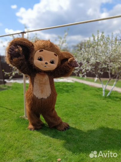 Поздравление.Чебурашка.Выписка.День рождения