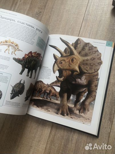 Детские атласы мира динозавры анатомия рыцари